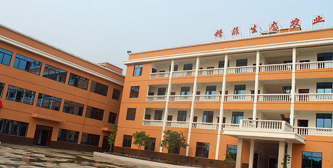 廣西菲賽迪農業科技集團有限責任公司
